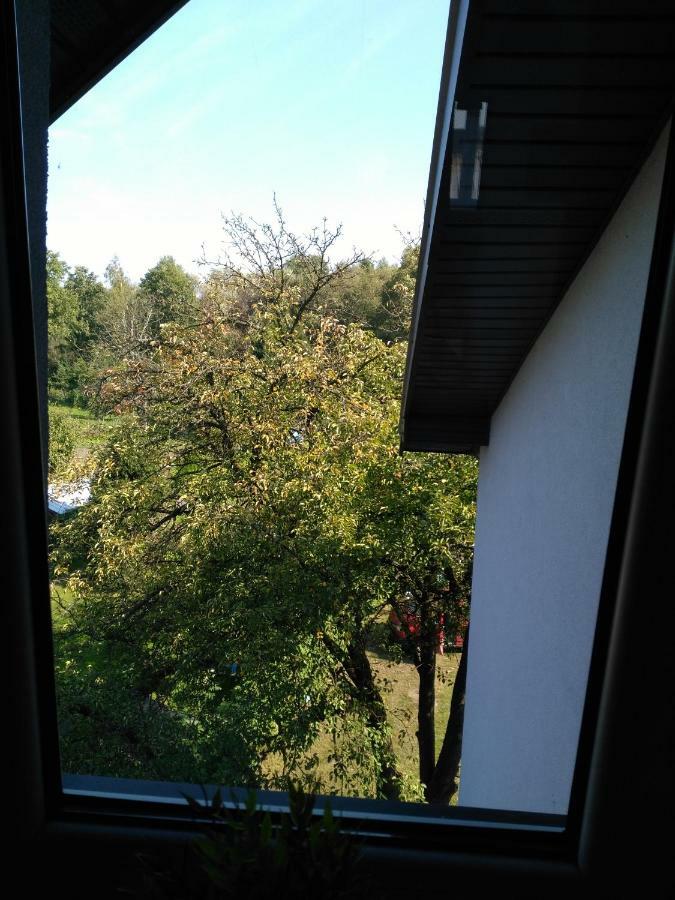 Marina Augustów